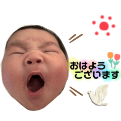 momo_20250331155135