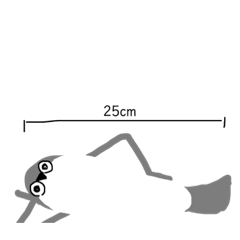 sakabannbasupisu_77