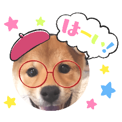 miho_20250331221743