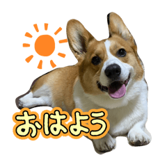 hana_20250331222503