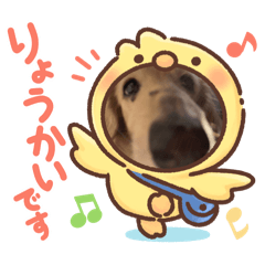 RYUKI_20250331232015