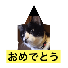 Cute pet family 0