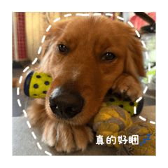 小多4