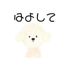 roy hayo