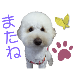 nana_20250331194119