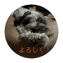 jun_20250331200000