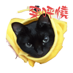卡娃伊妞
