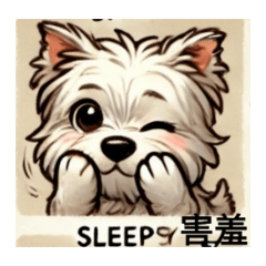 卡哇伊高西地日常-甄