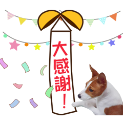 Telly 愛調皮3