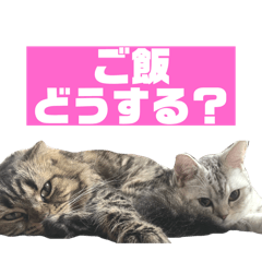 mana_20250401014341