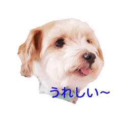 Aporo daisuki