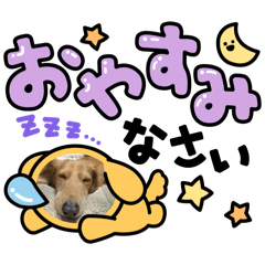nana_20250401065753