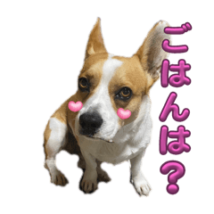tsuzakiranmarustamp