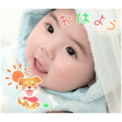 eri_20241029
