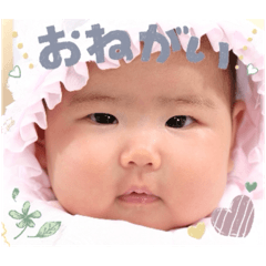 abc_20250401094731