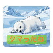 ippippi_20250331160032