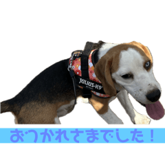 rrr_20250401100300