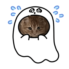 Chittima_20250331214820