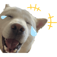 LukeMaruta2
