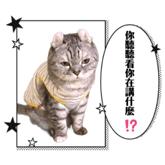 Bona&Boni 兩個寶寶