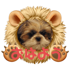 chacha_20250401124937