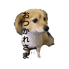 ayumi_20250401133933
