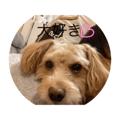 rui_20250401144258