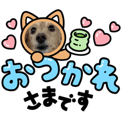 AYUMI_20250401145726