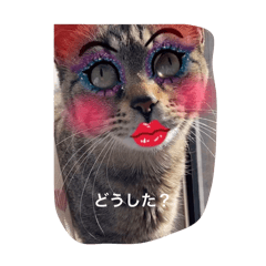 Yuka_20250401154629