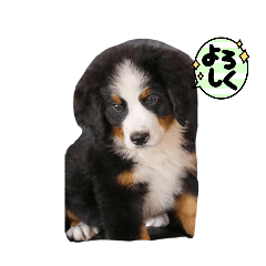 yue_20250401194455