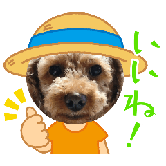 Riku_20250401211806