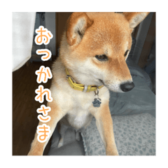 yuina_20250401212530