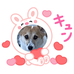 yoko_20250401204642