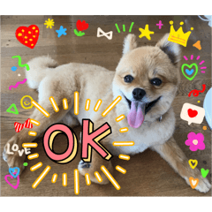 shiho_20250401215410