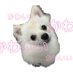 ruka_20250401220010