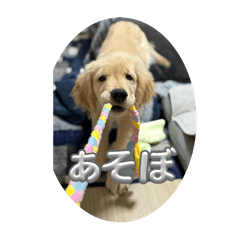 mayu_20250401225117