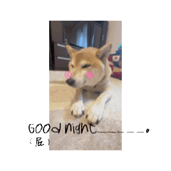chi_20250401140413