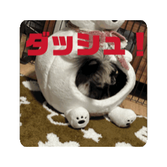 Misaki_20250401180804