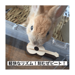 mana_20250401205846