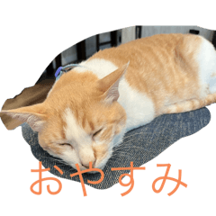 hinata_20250401210127