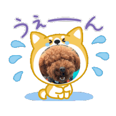 Juhdeegee_20250401214742