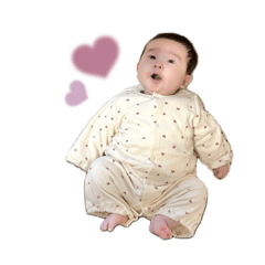 mikototo