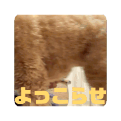 Hiro_20250402000800