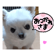 hitomi_20250402053012