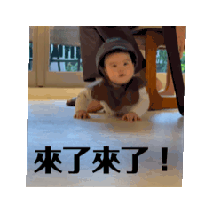 張老大動起來