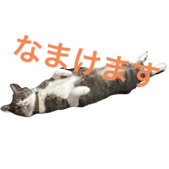Omochi_20250401183100