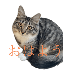 kana_20250402002428
