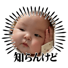yuki_20250402004304