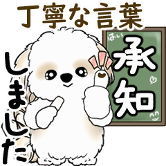 Moving Shih tzu 2025 (polite language) 9