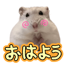iku_20250401210758